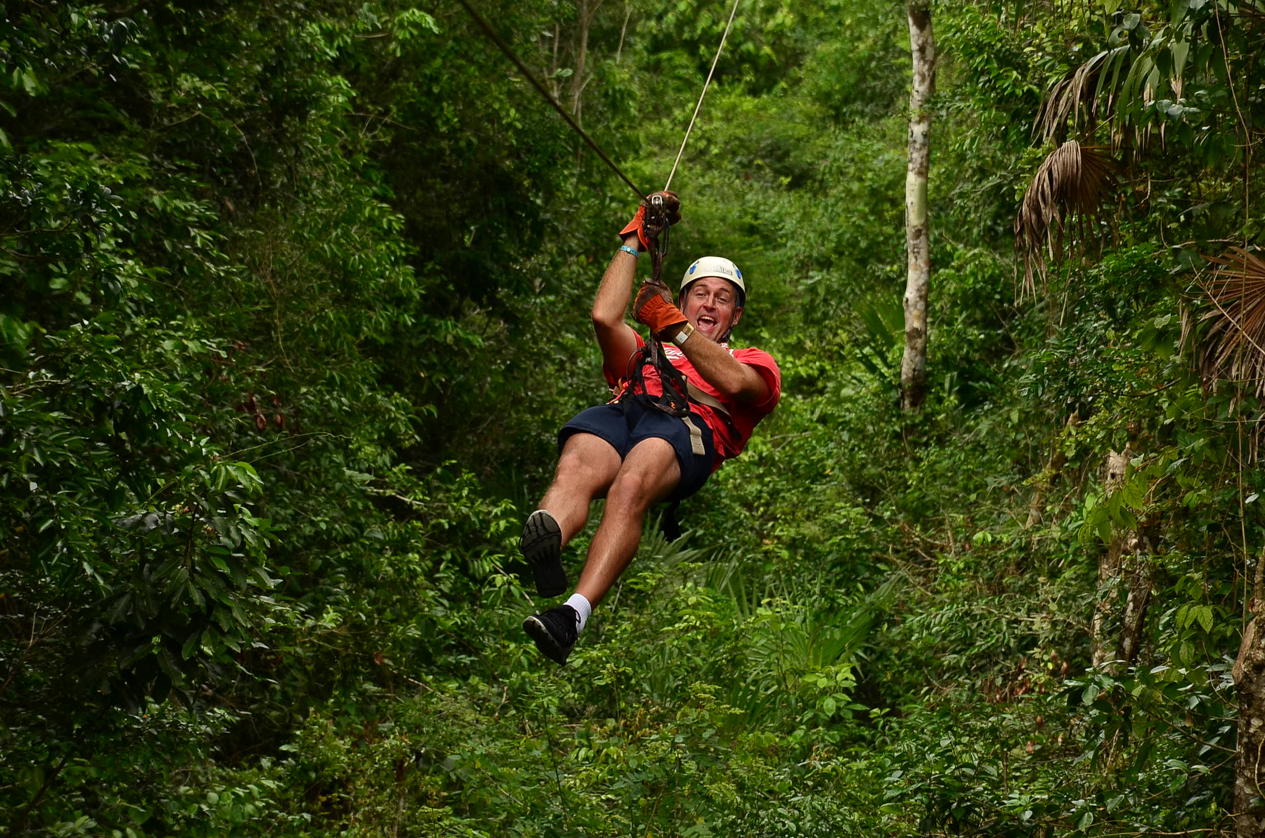 Active Excursions